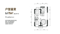 高层75平米户型