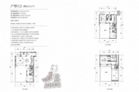 别墅-C2户型