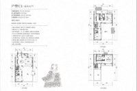 别墅-C1户型