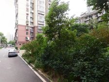 惠民锦园 2室1厅 南