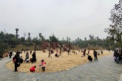 枫香湖儿童公园
