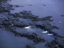 礼嘉 华侨城翎屿二房320万