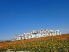 联排中间户 百万自住精装 带车库 诚心卖价格好谈