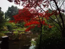 庆隆高尔夫联排别墅,跃层结构,彩光佳,带花园车位。