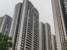 高新区大学城,双轻轨大三房,朝南朝中庭,背靠大公园