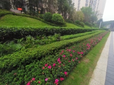 板式四房洋房一梯两户 品质小区