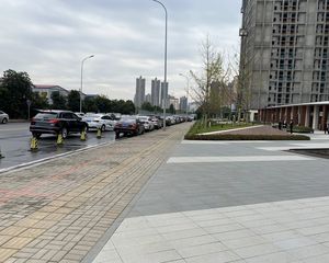 视野开阔一号线地铁口人车分流宜居地段