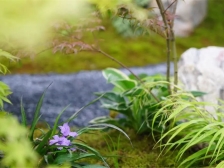 九龙湖品质大户型,成功人的选择,全江景