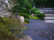 国体旁一线江景嚎宅东端户带车位 全屋地暖新风空调