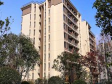 杨家坪 融信海纳九龙三房