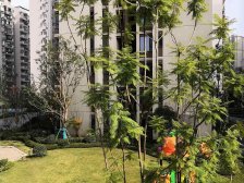 滩子口轻轨站 次新小高层 清水三室 楼层好采光好