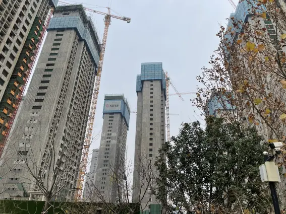 铂悦山