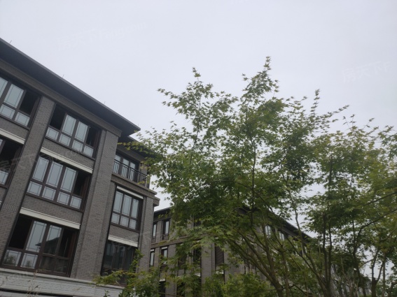 房天下>石家庄新房>正定楼盘>绿城·御河上院>绿城·御河上院怎么样>