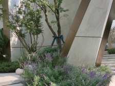 好房四房双卫双轻轨新品质小区近万华配套