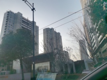 金地峯范府在建楼栋实景图