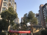 已竣工楼栋实景图