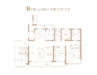 B-245平5室3厅3卫