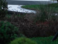 清凤鹿溪源 4室2厅 南 北