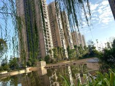 步步高旁百合御都 |业主诚意 价格好谈