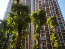 小区环境好,位置好,人车分流!