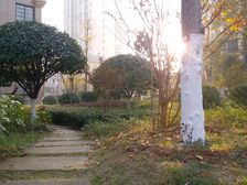 湘江学府电梯中层,全新装修三房出售