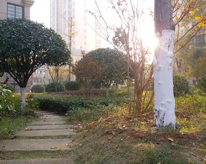 湘江学府电梯中层,全新装修三房出售