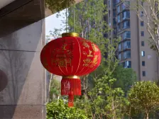 新上逸墅庄园独栋别墅花园200多平米客厅6米多