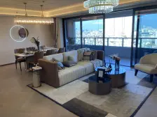 狮山核心地段155大平层享受高端改善新区地标纯现房300万