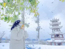 急卖湘江富力城正临湖双拼别墅花园可以扩500 平米