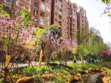 湾田九华湖壹号丨大平层阳台俯看整个湖德文化公园全景