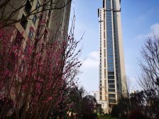 湾田九华湖壹号 4室2厅 南