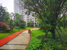 九华湾田丨上和平进江声丨德文化公园丨人车分流随时看