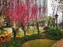 湾田九华湖壹号品质楼盘,入和平江声,湖德公园在旁边