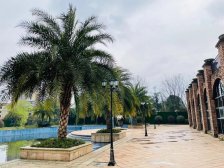 湘潭九华奥园毛胚通透大三房视野采光好和平江声