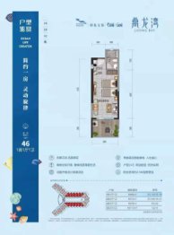 鼎龙湾国际海洋度假区1室1厅1厨1卫建面46.00㎡