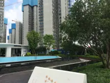 碧桂园松湖明珠 3室1厅 东南
