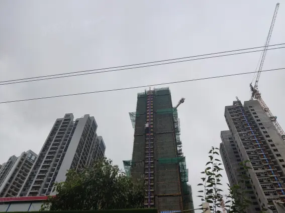 大华公园天下