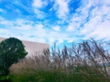 雁鸣湖实景