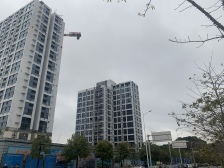 毛坯交付 南向 诚心出售 价格可聊 密码看房