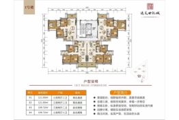 远天世纪城3室2厅1厨2卫建面109.00㎡