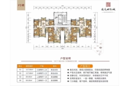 远天世纪城3室2厅1厨2卫建面84.00㎡