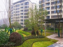 高品质洋房社区,100米就是图新, 次新房,环境好