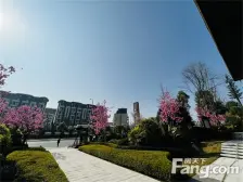 璧山街道 融睿香墅里五房