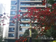 北滨路,满二年次新房,精装修奶油风格