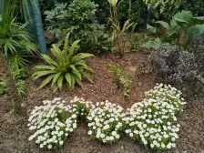 带两个小露台,洋房顶跃,视野开阔,