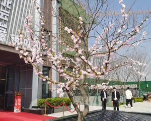 户型通透、格局好、楼层好、洋房区域