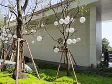 融侨望云4室2厅东南南