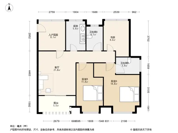金科观天下