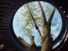 渝中区轻轨旁一线看江大平层诚心出售!!