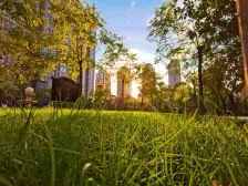 江南小镇 楼层好 配套设施完善 交通便利